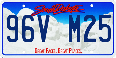 SD license plate 96VM25