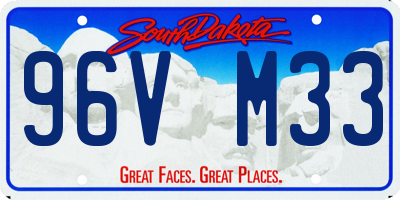 SD license plate 96VM33