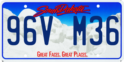 SD license plate 96VM36