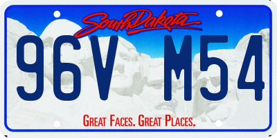 SD license plate 96VM54
