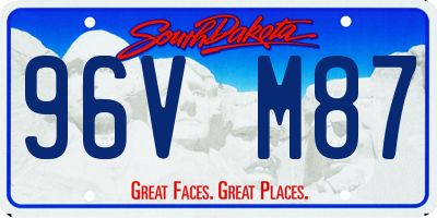 SD license plate 96VM87