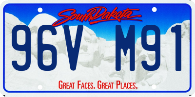 SD license plate 96VM91