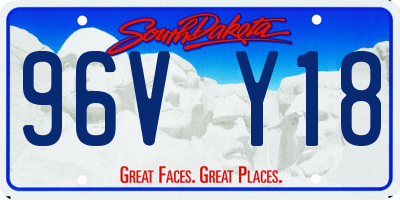 SD license plate 96VY18