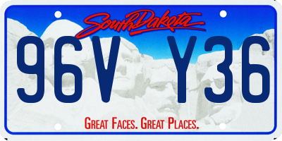 SD license plate 96VY36