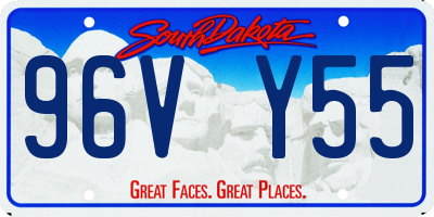 SD license plate 96VY55