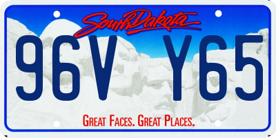 SD license plate 96VY65