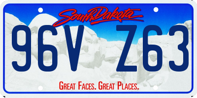 SD license plate 96VZ63