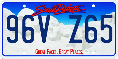 SD license plate 96VZ65