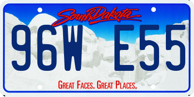 SD license plate 96WE55
