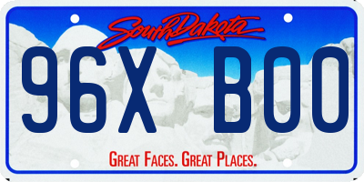 SD license plate 96XB00
