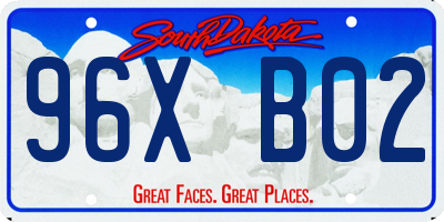 SD license plate 96XB02