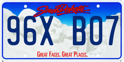 SD license plate 96XB07