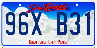 SD license plate 96XB31