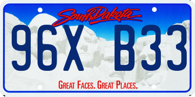 SD license plate 96XB33