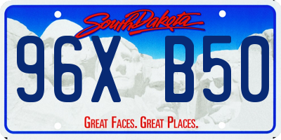SD license plate 96XB50