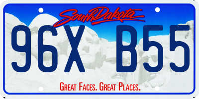 SD license plate 96XB55