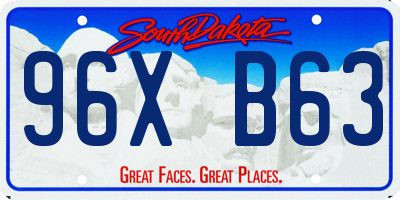 SD license plate 96XB63