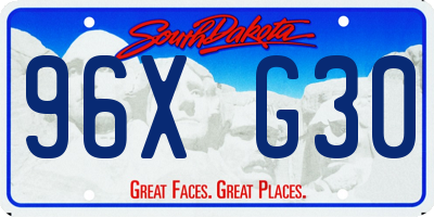 SD license plate 96XG30