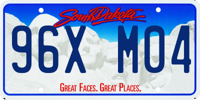 SD license plate 96XM04
