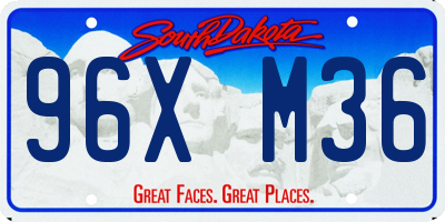 SD license plate 96XM36