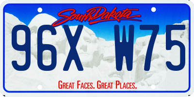SD license plate 96XW75