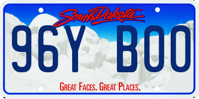 SD license plate 96YB00