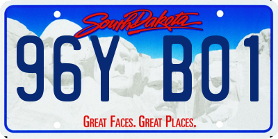 SD license plate 96YB01