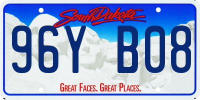 SD license plate 96YB08