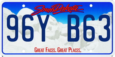SD license plate 96YB63