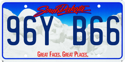 SD license plate 96YB66