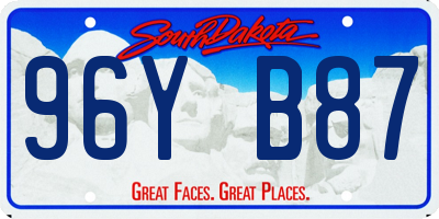 SD license plate 96YB87