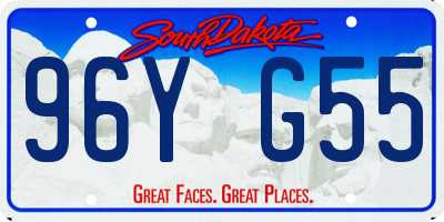 SD license plate 96YG55