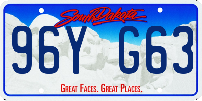 SD license plate 96YG63