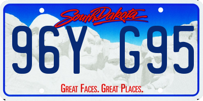 SD license plate 96YG95