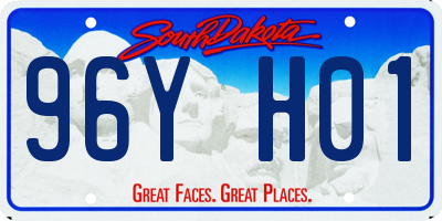 SD license plate 96YH01