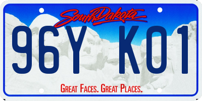 SD license plate 96YK01