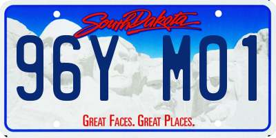 SD license plate 96YM01