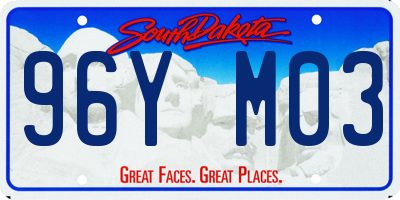 SD license plate 96YM03