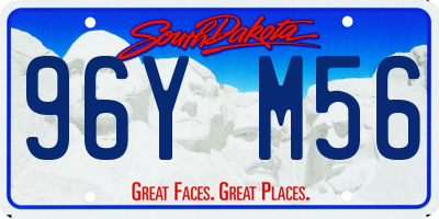 SD license plate 96YM56