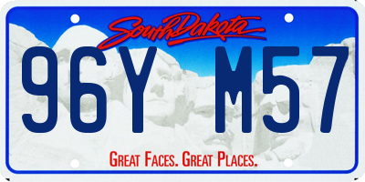 SD license plate 96YM57