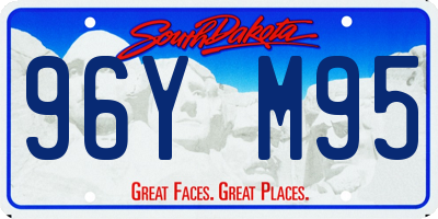 SD license plate 96YM95