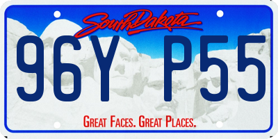 SD license plate 96YP55