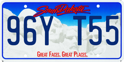 SD license plate 96YT55