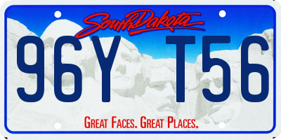 SD license plate 96YT56