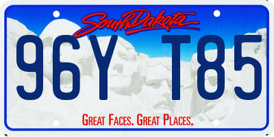 SD license plate 96YT85