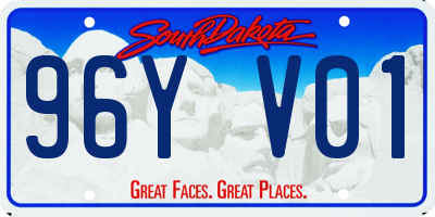 SD license plate 96YV01