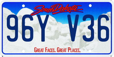 SD license plate 96YV36