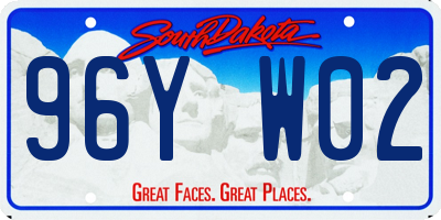 SD license plate 96YW02