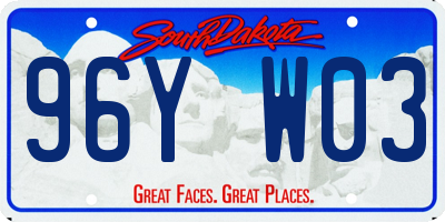 SD license plate 96YW03