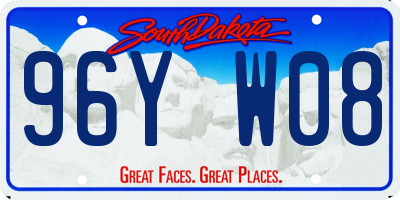 SD license plate 96YW08